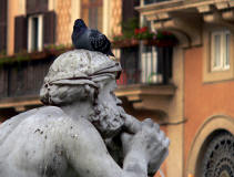 estatuas con palomas