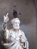 Estatuas y palomas