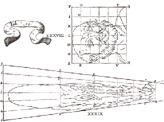 Dibujo mostrando la técnica de la anamorfosis